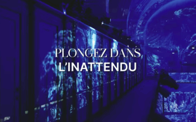 Une nouvelle présentation vidéo